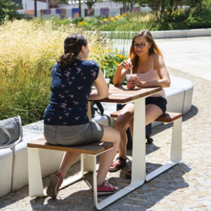 Openluchtklasen rautster bank vvs